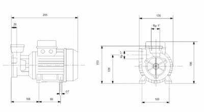 Поверхностный насос Grundfos PF 2-50